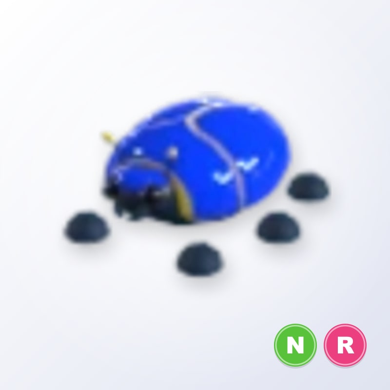 Giant Blue Scarab NR | Adopt Me