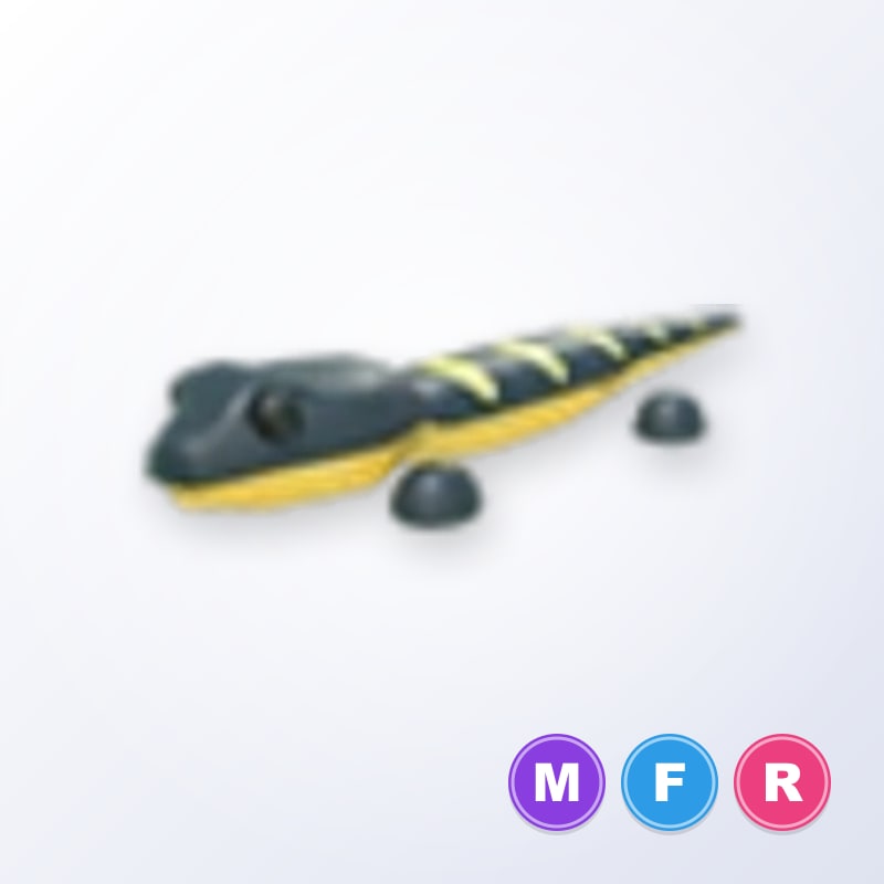 Salamander MFR | Adopt Me