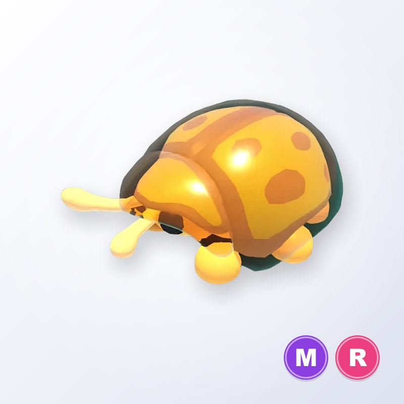 Golden Tortoise Beetle MR | Adopt Me