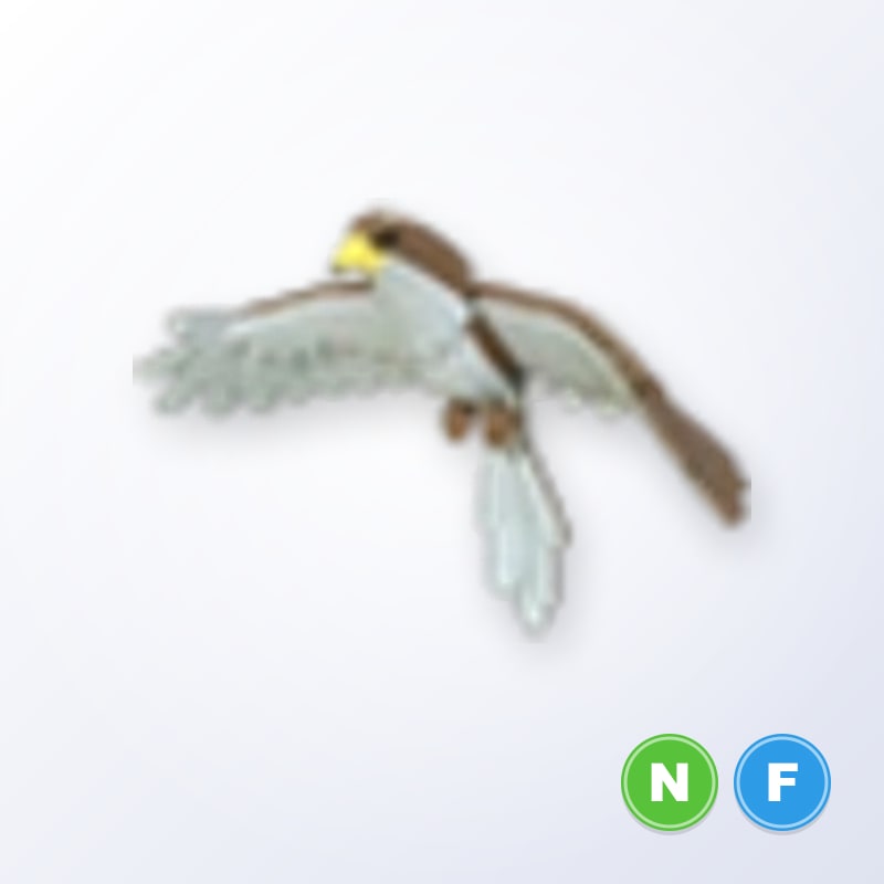 Hawk NF | Adopt Me