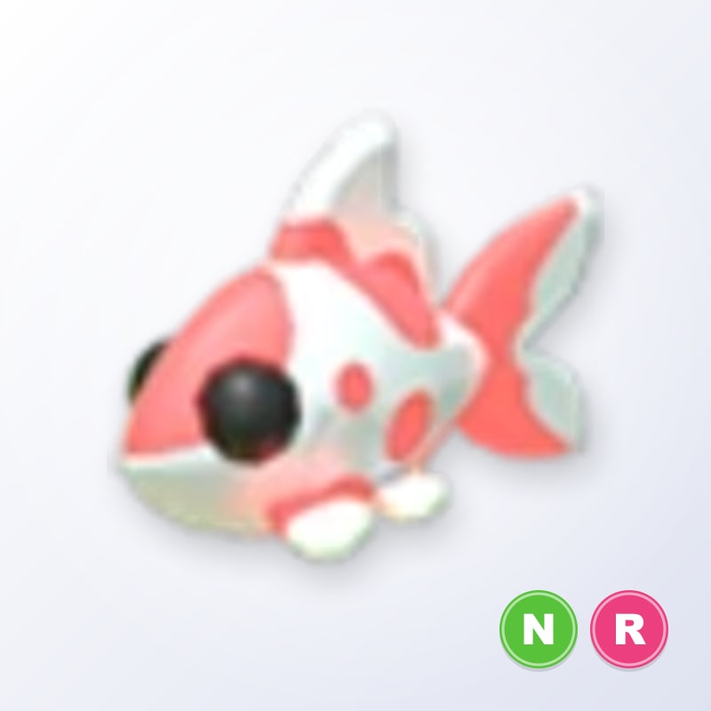 Koi Carp NR | Adopt Me