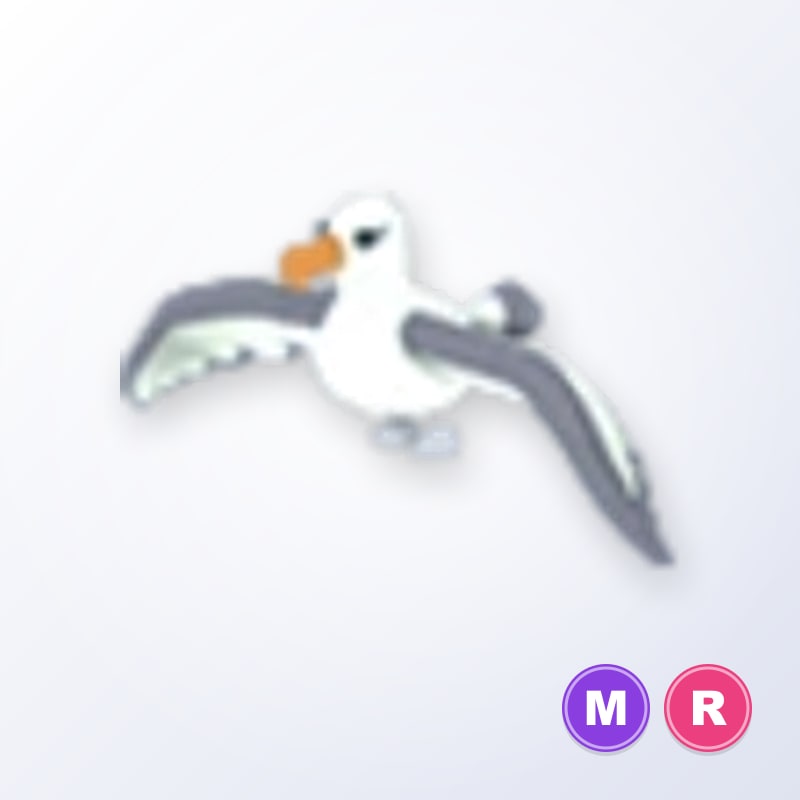 Albatross MR | Adopt Me