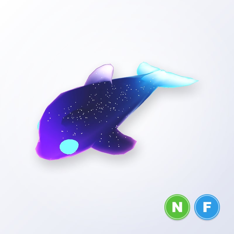 Glormy Dolphin NF | Adopt Me