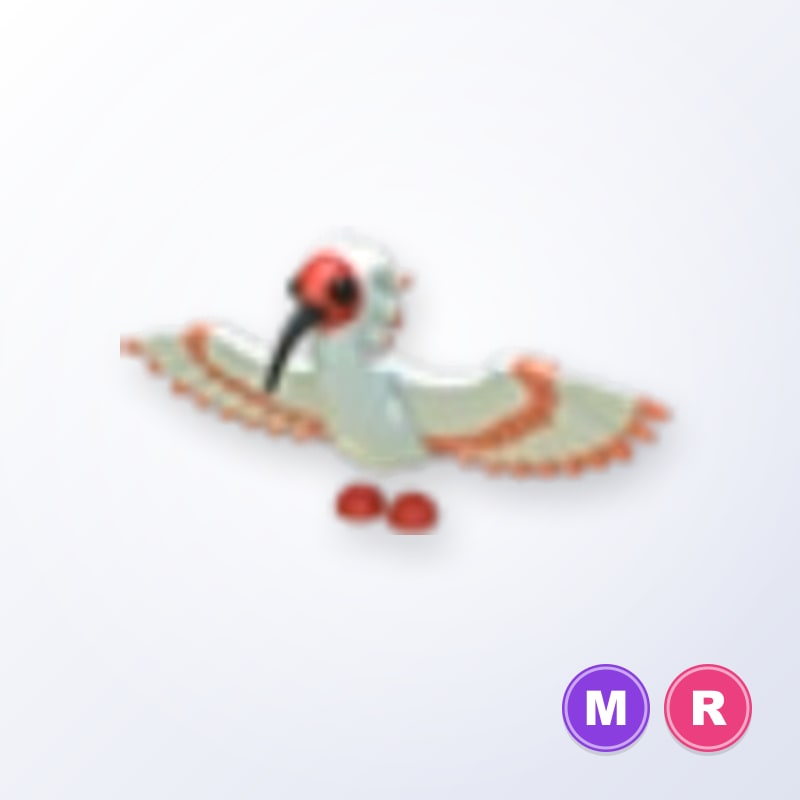 Ibis MR | Adopt Me