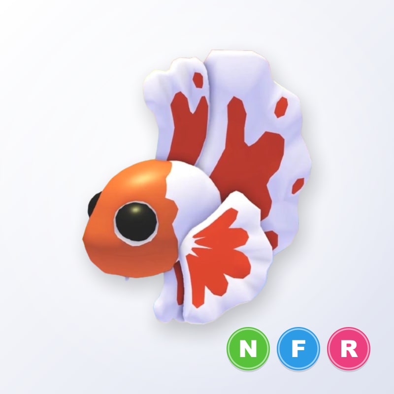Orange Betta Fish NFR | Adopt Me