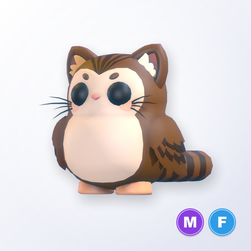 Purrowl MF | Adopt Me