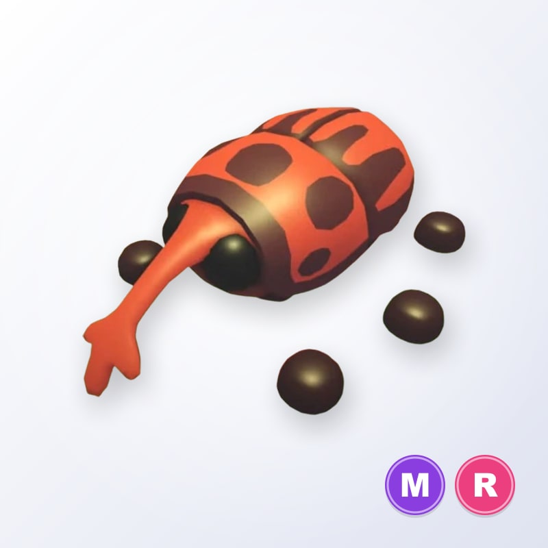 Weevil MR | Adopt Me