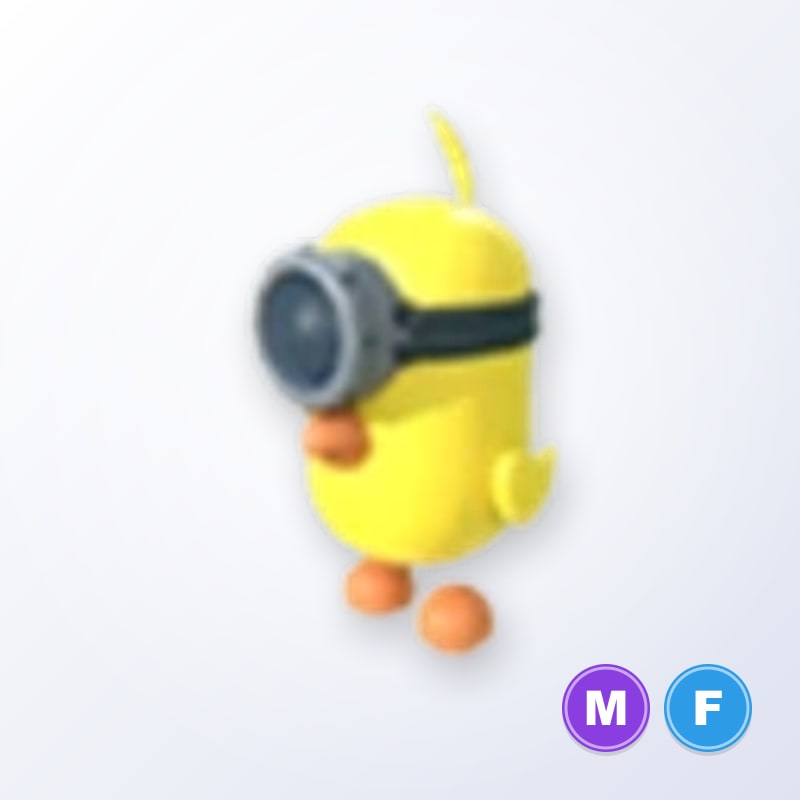 Zodiac Minion Chick MF | Adopt Me