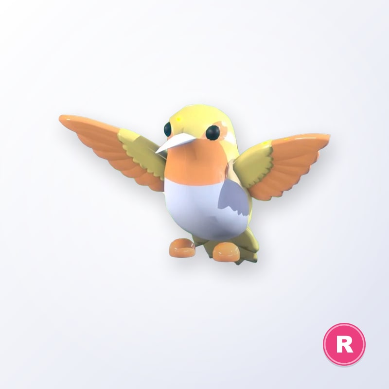 Golden Hummingbird R | Adopt Me