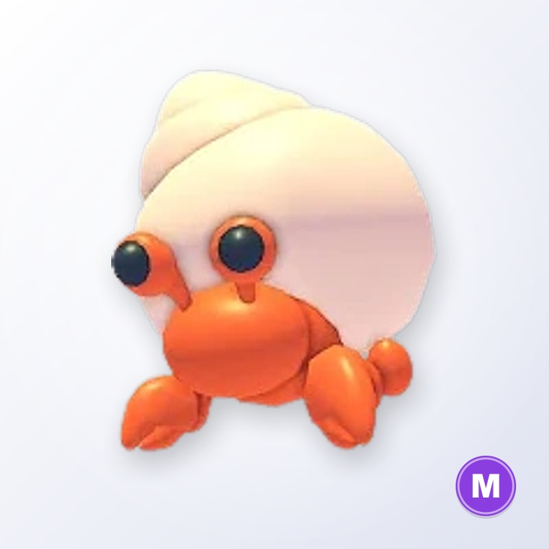 Hermit Crab M | Adopt Me