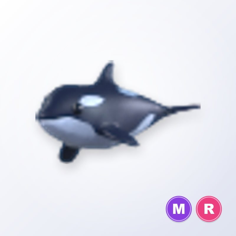 Orca MR | Adopt Me