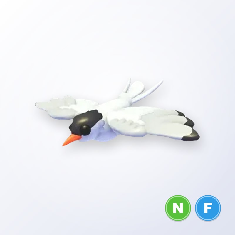 Arctic Tern NF | Adopt Me