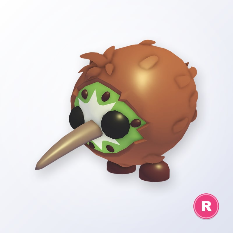 Kiwi Kiwi R | Adopt Me