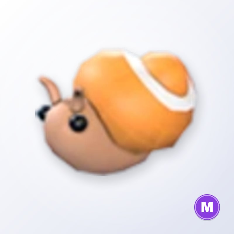 Trapdoor Snail M | Adopt Me