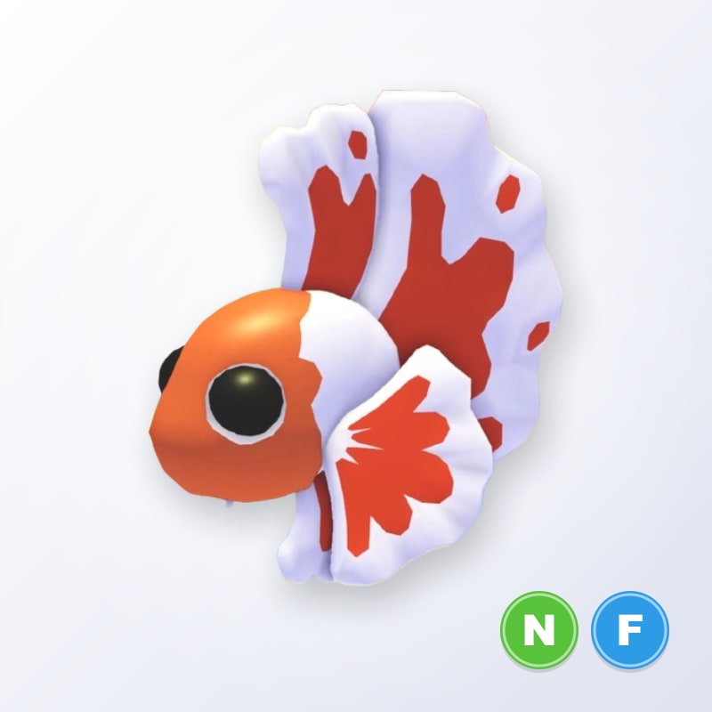 Orange Betta Fish NF | Adopt Me
