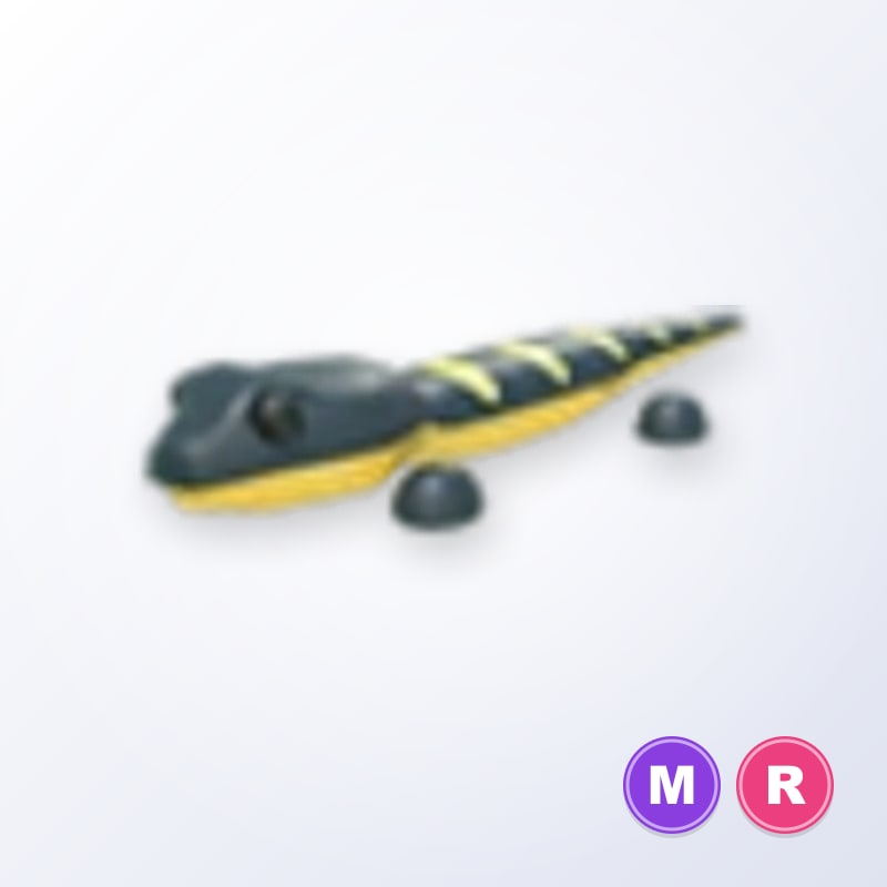 Salamander MR | Adopt Me
