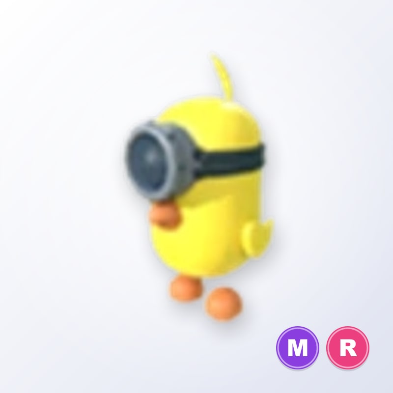 Zodiac Minion Chick MR | Adopt Me