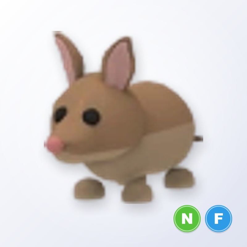 Bandicoot NF | Adopt Me