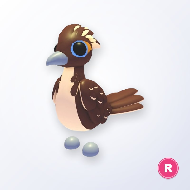 Roadrunner R | Adopt Me