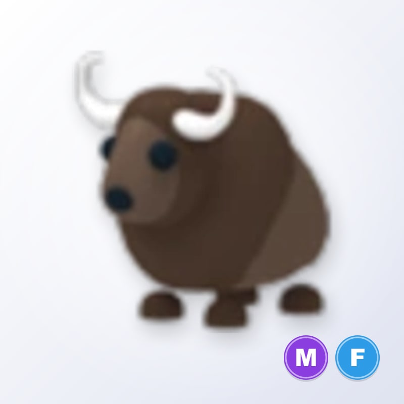 Buffalo MF | Adopt Me