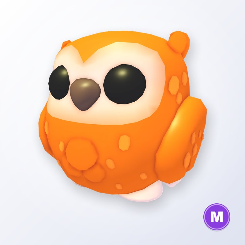Clementine Owl M | Adopt Me