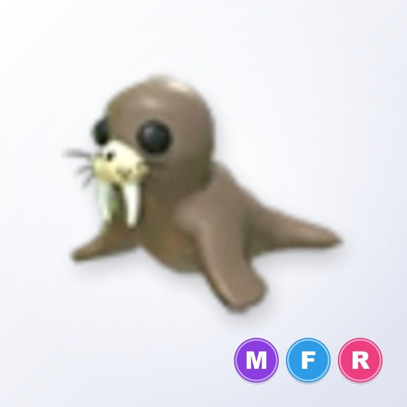Walrus MFR | Adopt Me