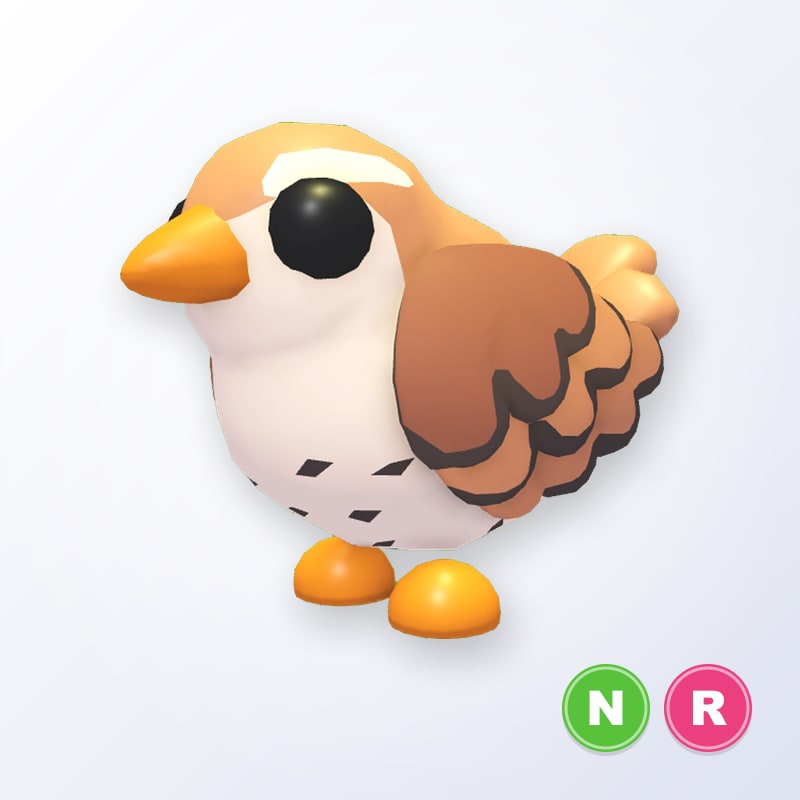 Wren NR | Adopt Me