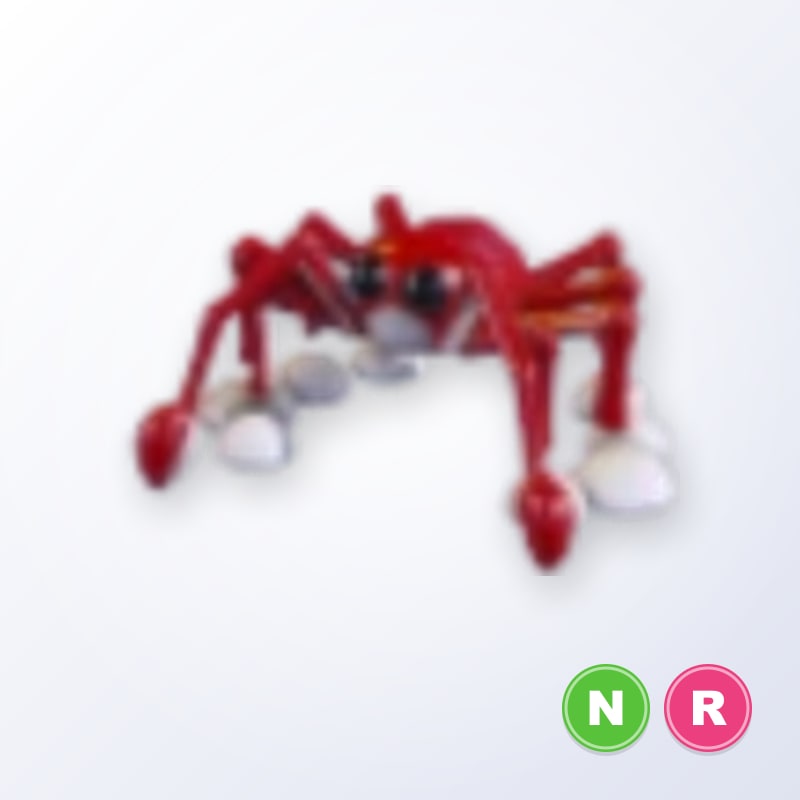 Spider Crab NR | Adopt Me