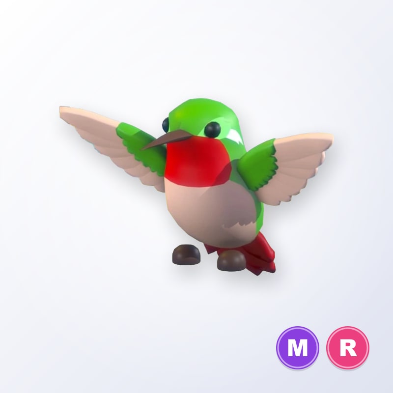 Hummingbird MR | Adopt Me