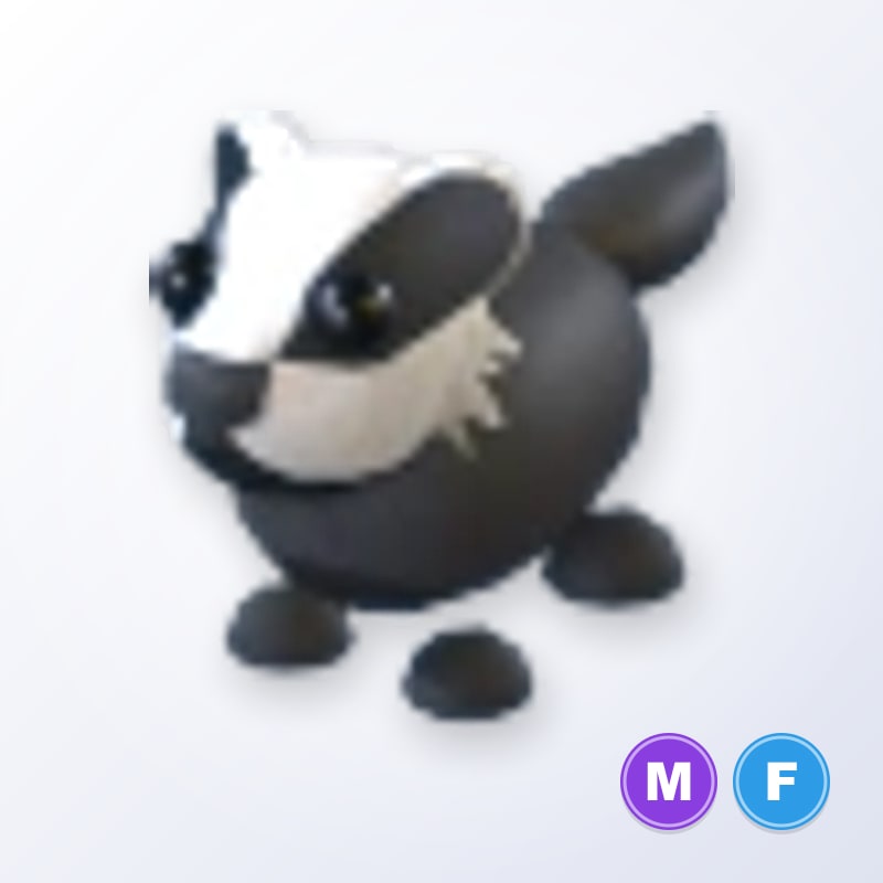 Badger MF | Adopt Me