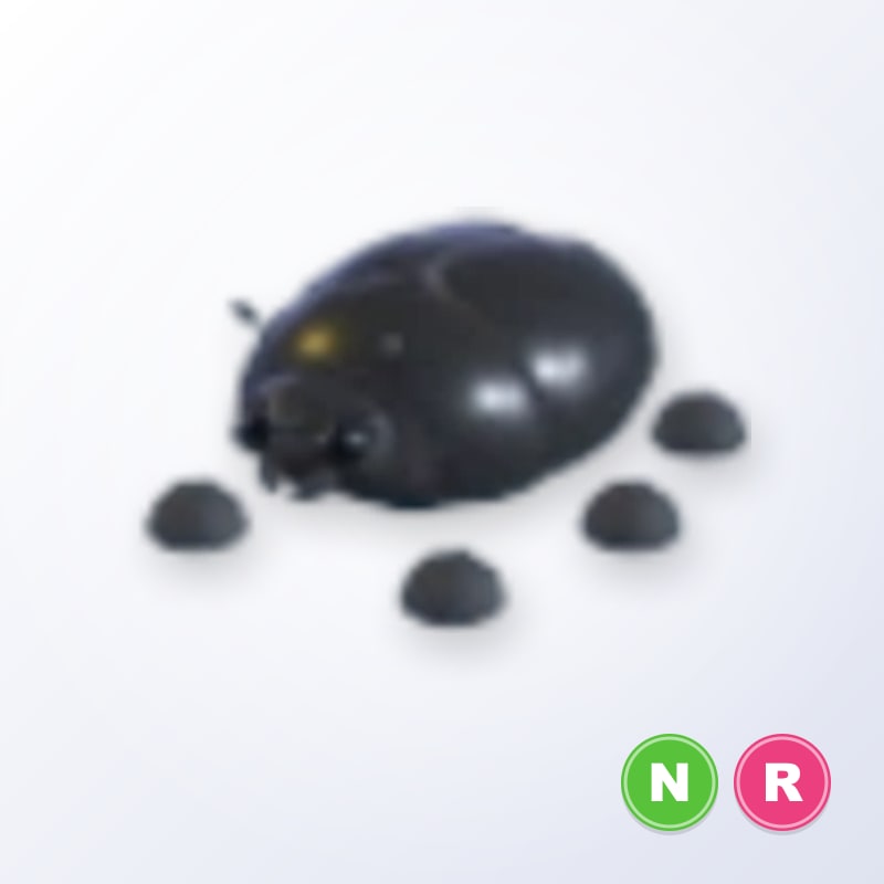 Giant Black Scarab NR | Adopt Me