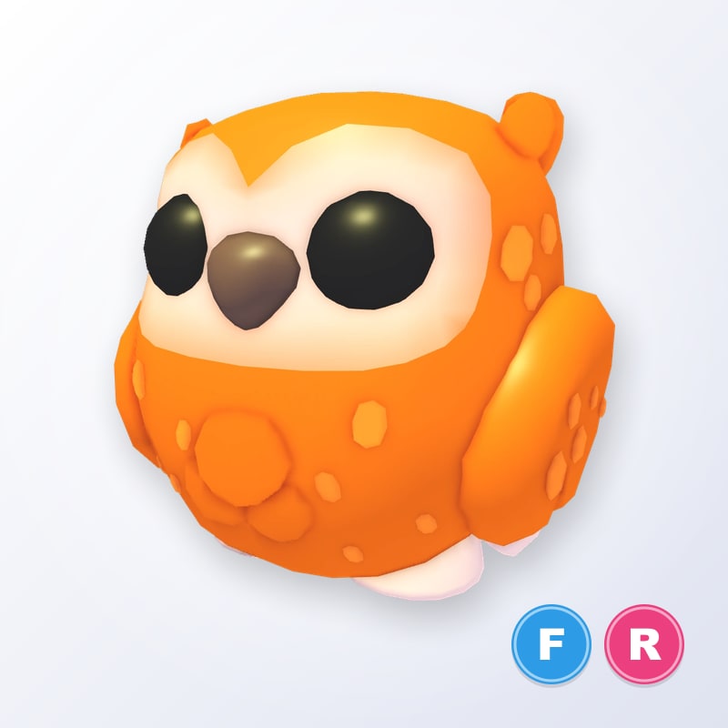 Clementine Owl FR | Adopt Me