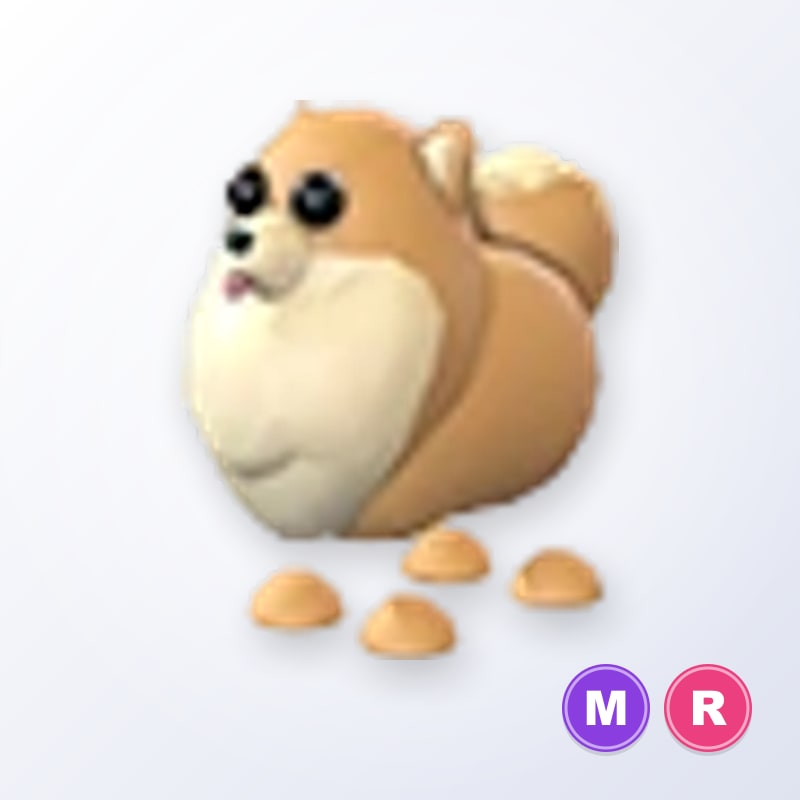 Pomeranian MR | Adopt Me