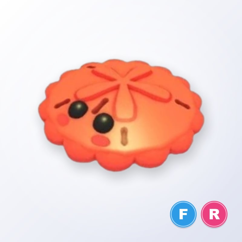 Red Sand Dollar FR | Adopt Me