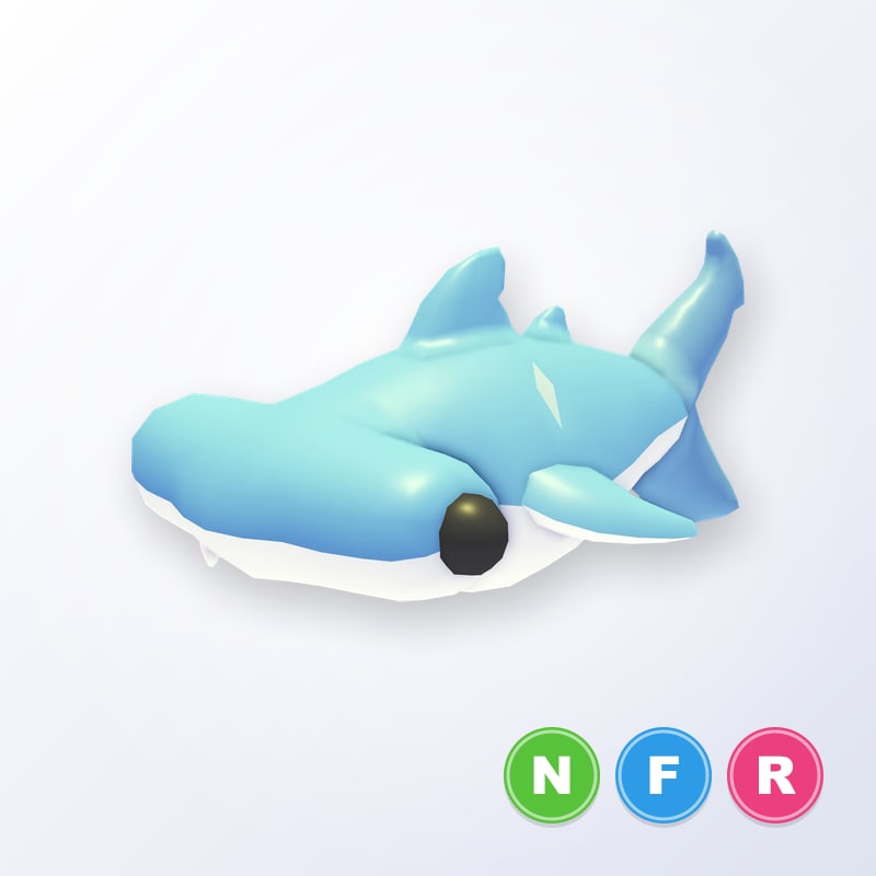 Hammerhead Shark NFR | Adopt Me