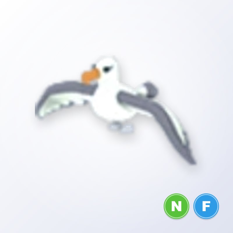Albatross NF | Adopt Me