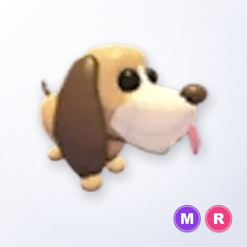 Bloodhound MR | Adopt Me