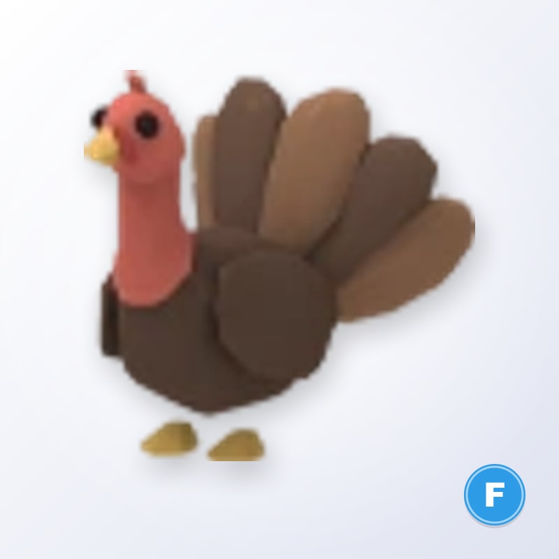 Turkey F | Adopt Me