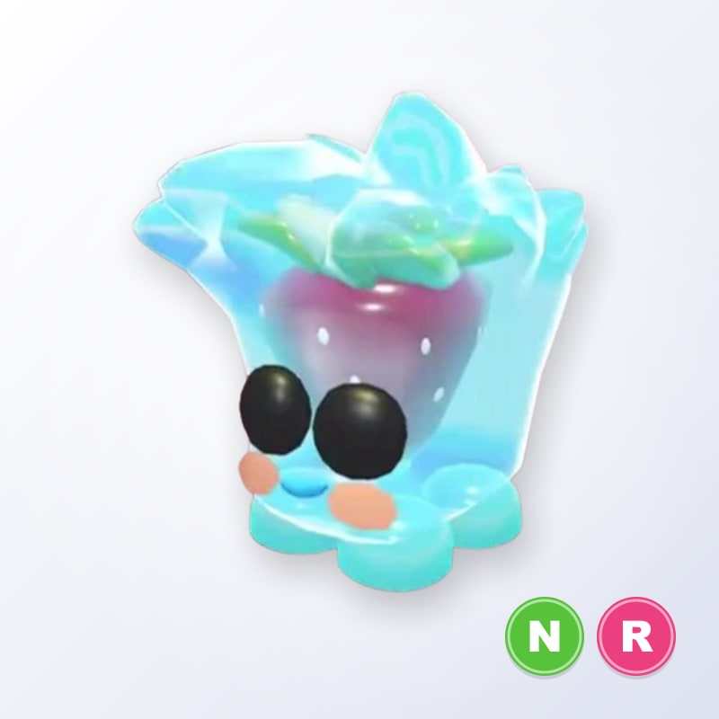 Berry Cool Cube NR | Adopt Me