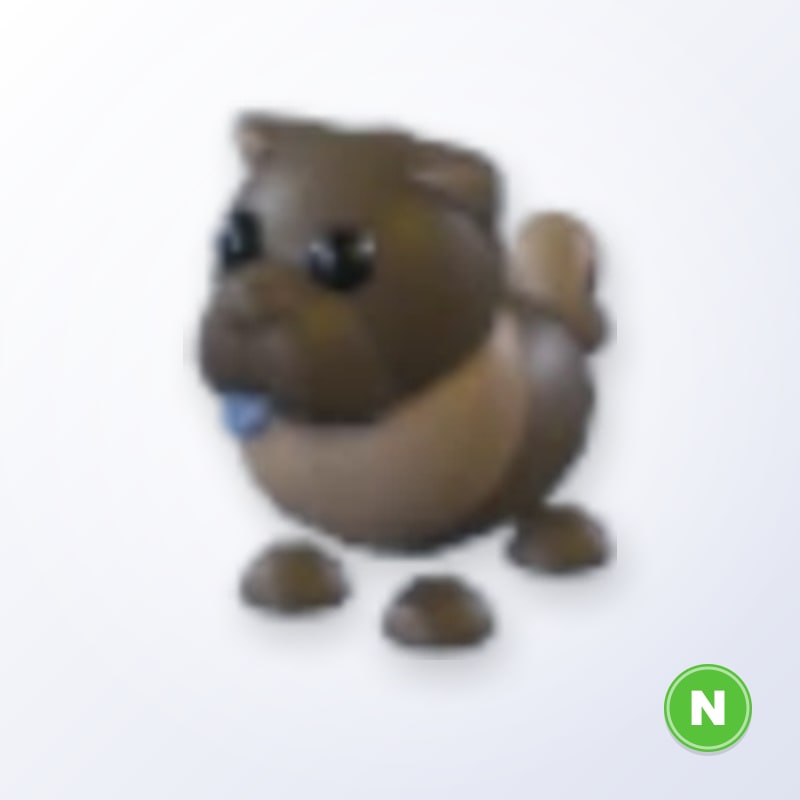 Chocolate Chow-Chow N | Adopt Me