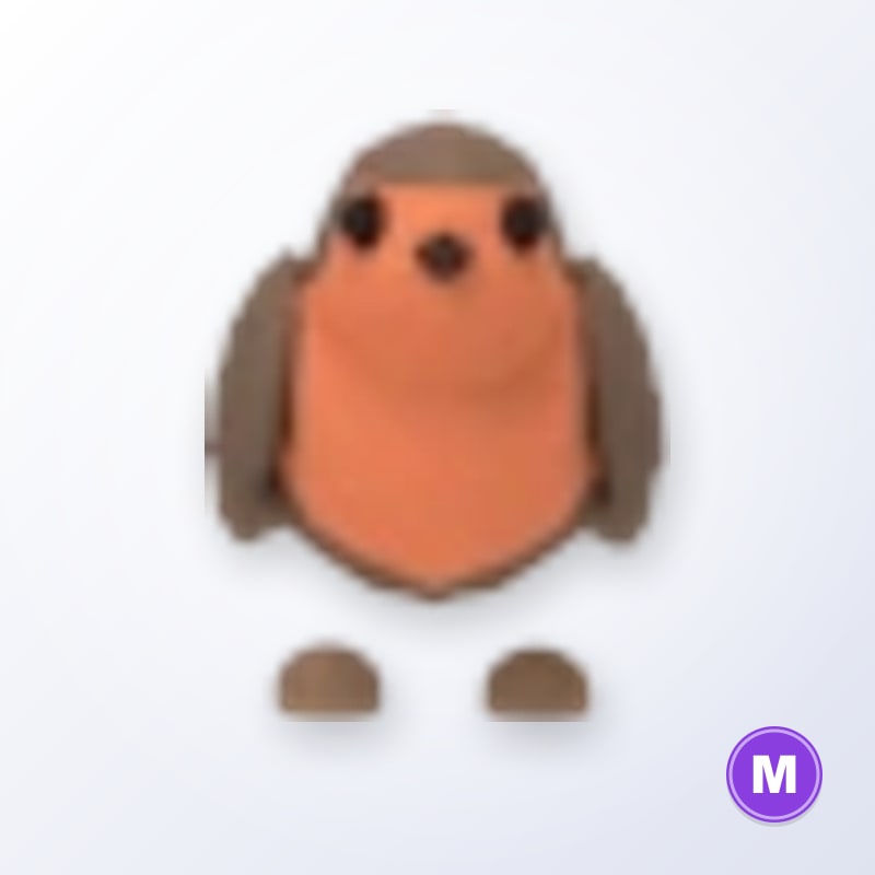 Robin M | Adopt Me