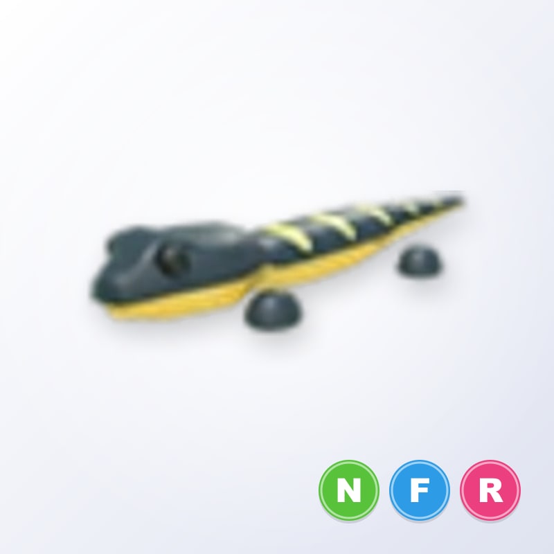 Salamander NFR | Adopt Me