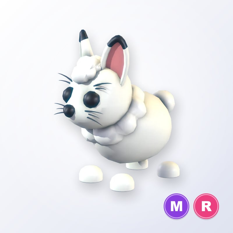 Arctic Hare MR | Adopt Me