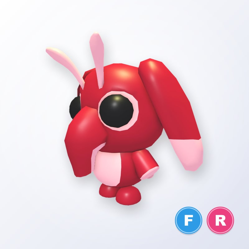 Snorgle FR | Adopt Me