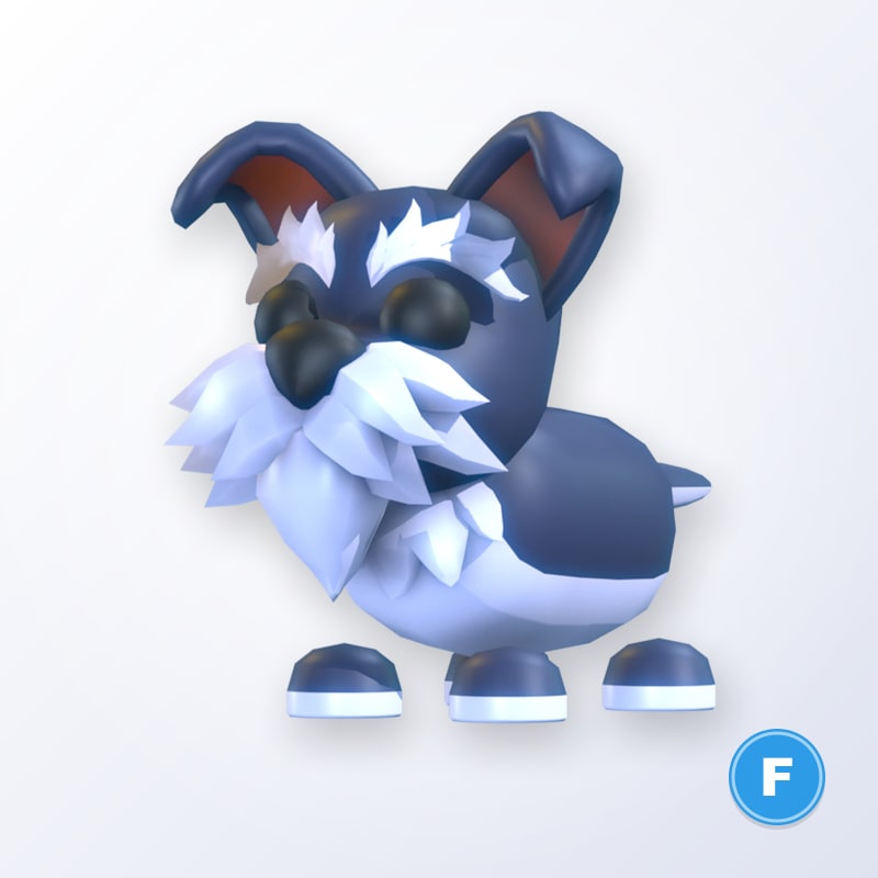 Mini Schnauzer F | Adopt Me