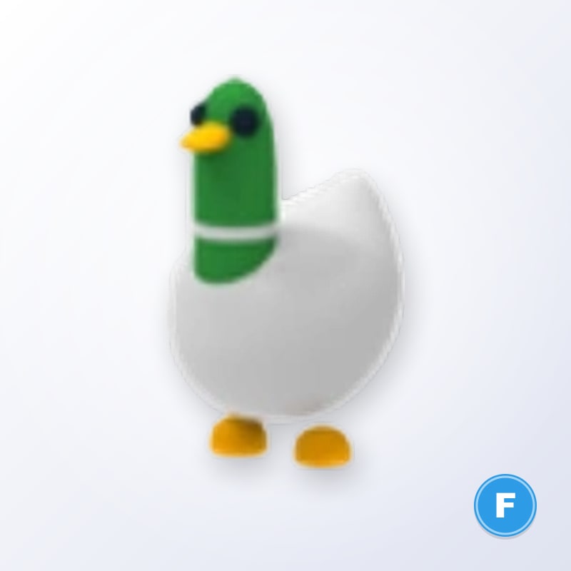 Silly Duck F | Adopt Me