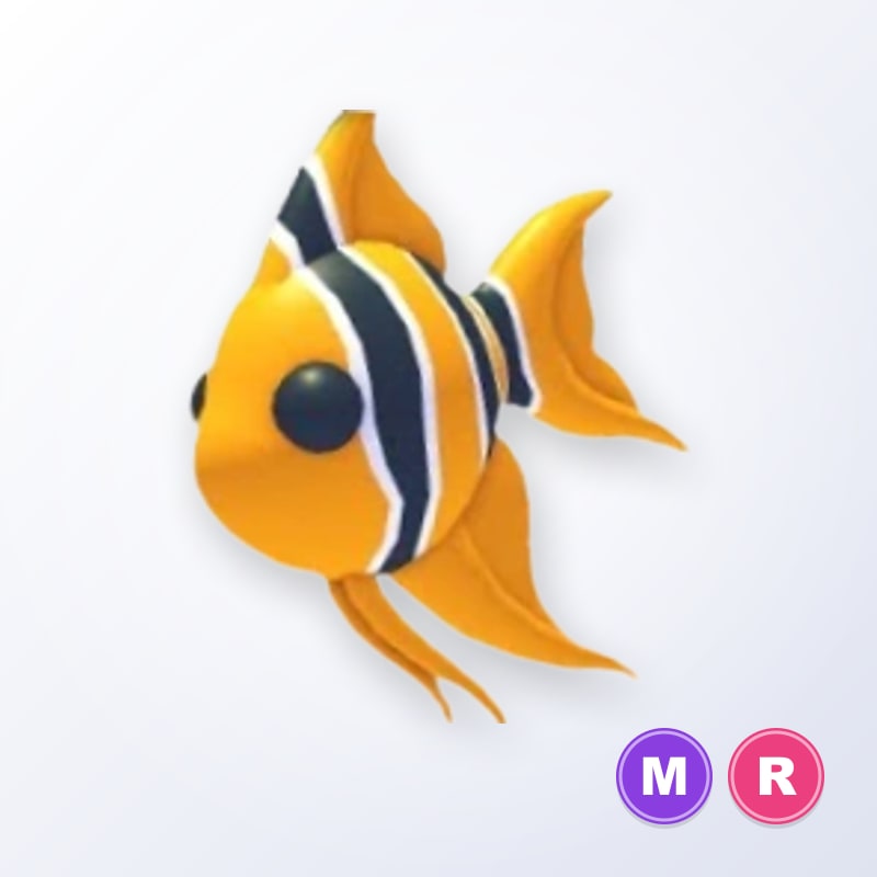Angelfish MR | Adopt Me