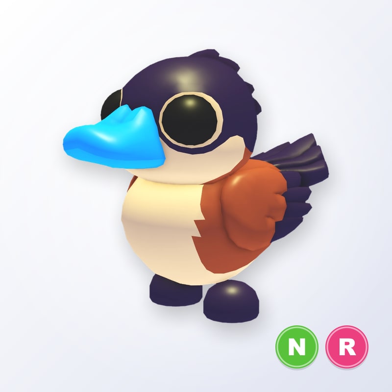 Ruddy Duck NR | Adopt Me