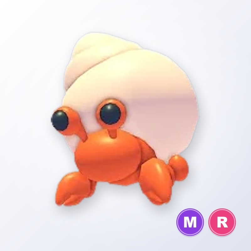 Hermit Crab MR | Adopt Me