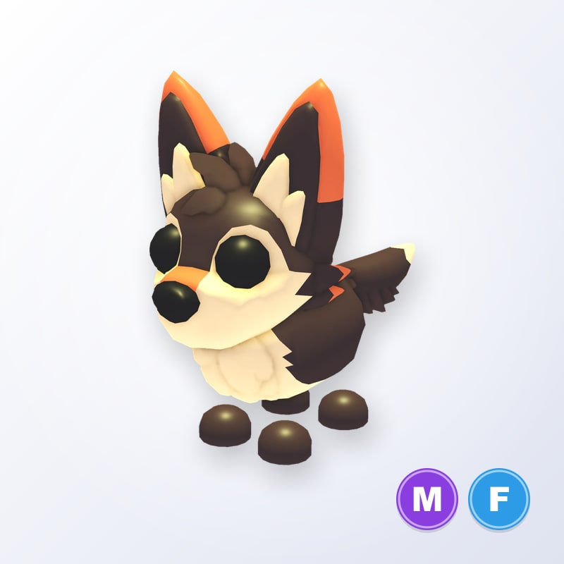 Mexican Wolf MF | Adopt Me